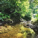 Rzehaczek 3* Dolni Lomna