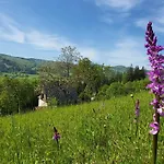 Rzehaczek Guest house