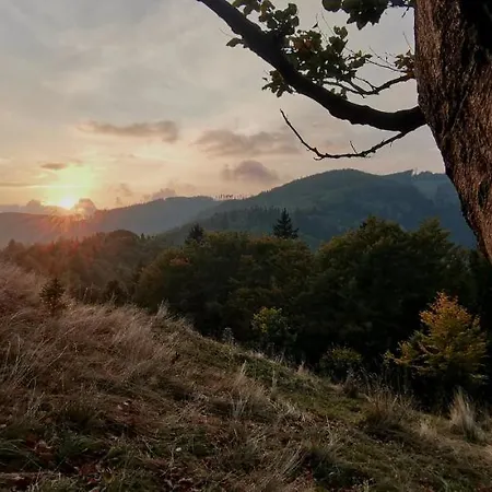 Pensión Rzehaczek Dolní Lomná