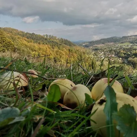 Vendégház Rzehaczek Dolní Lomná
