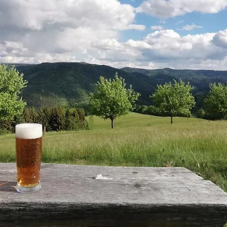 Rzehaczek 게스트하우스